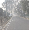 Delhi